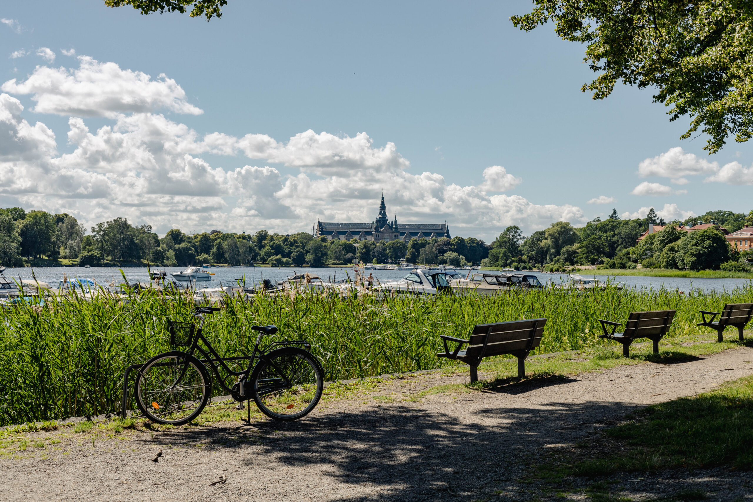 South Djurgården with view of the Nordic Museum