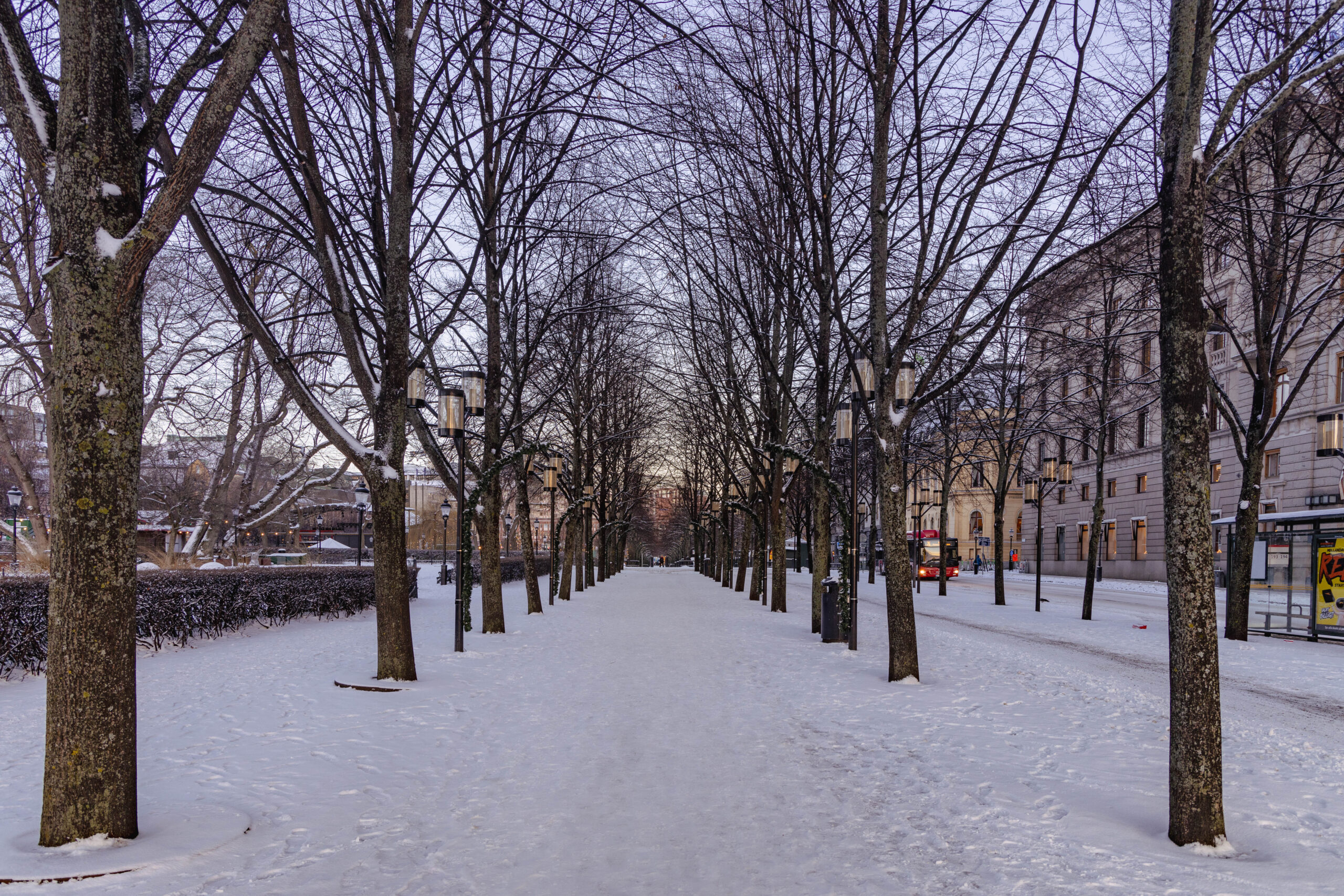 Snow covered avenue in Kungsträdgården