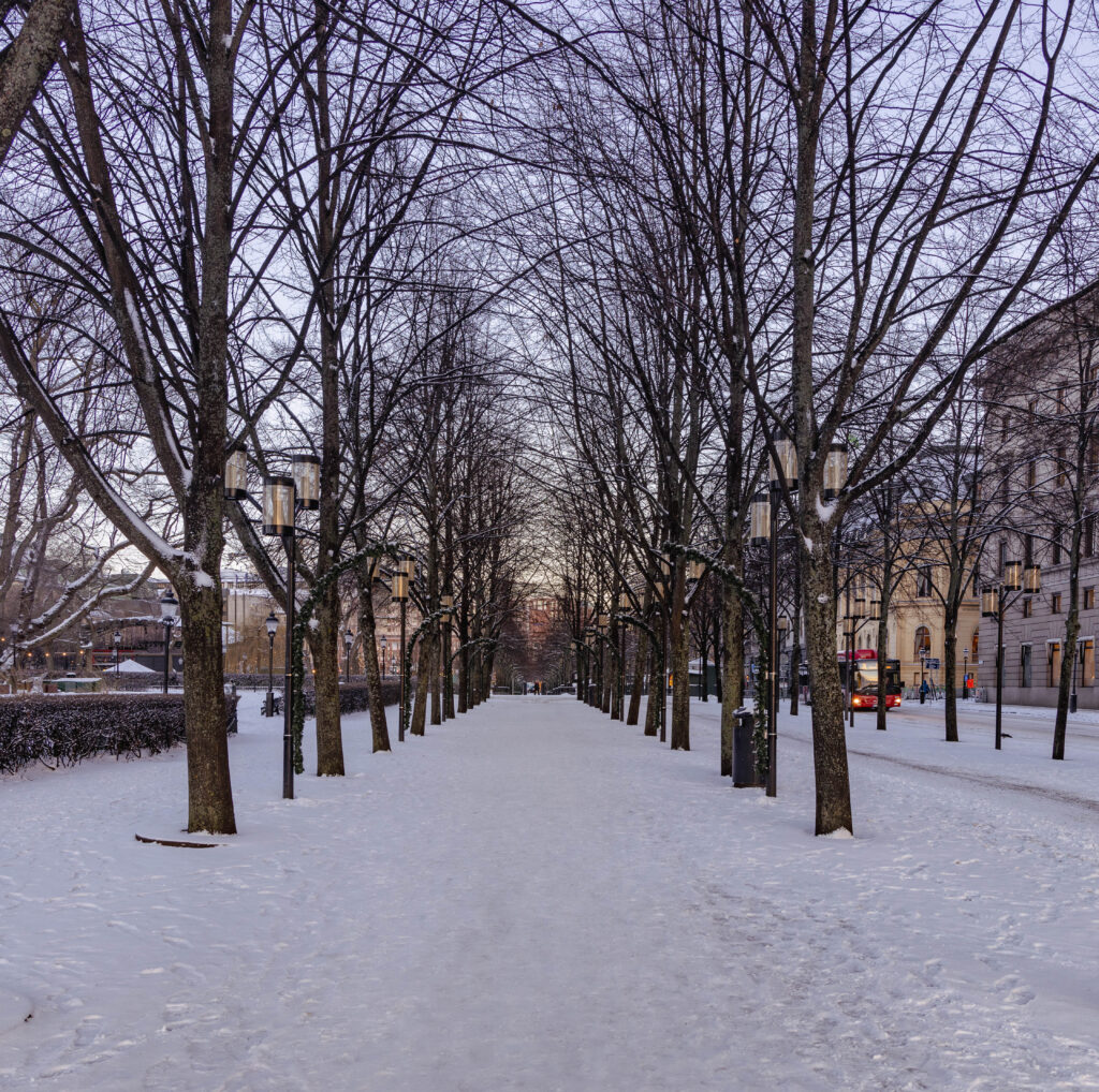 Avenue in Kungstradgarden in winter