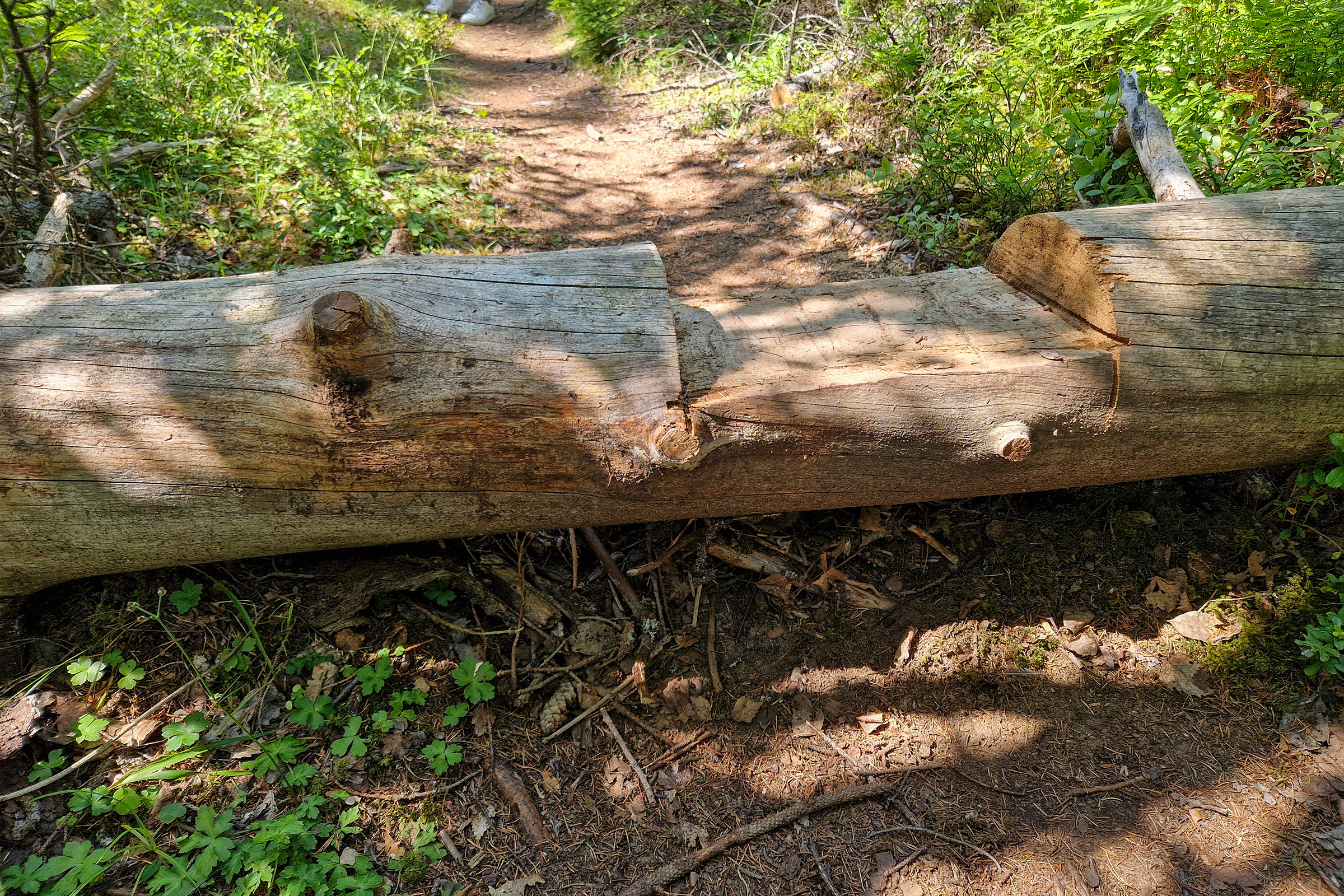 Grinda Stepping Log