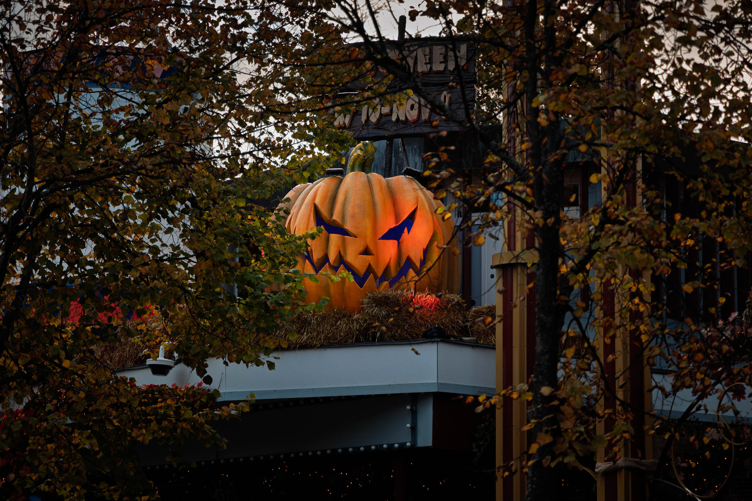 grona_lund_halloween_pumpkin