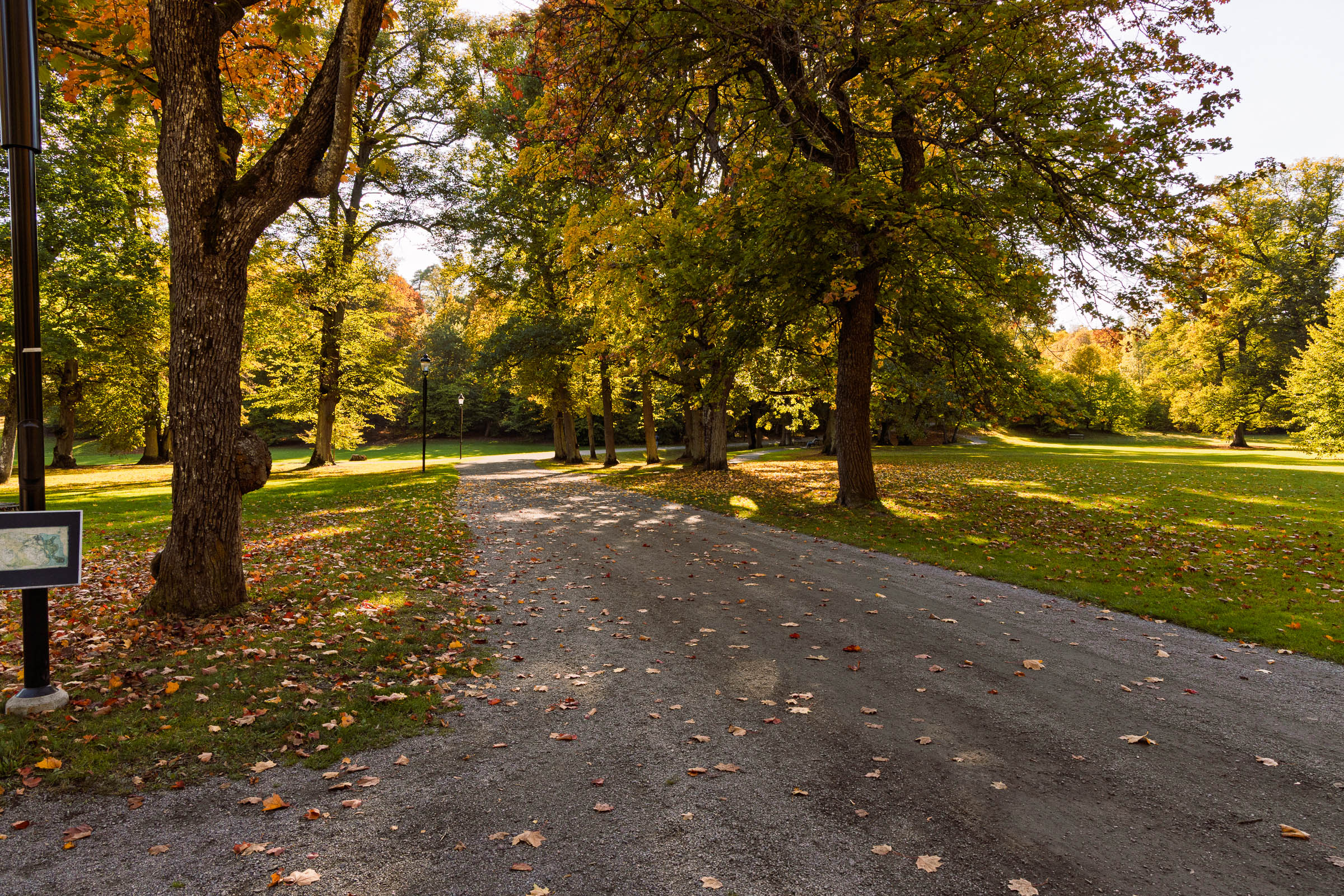 hagaparken_autumn_colors