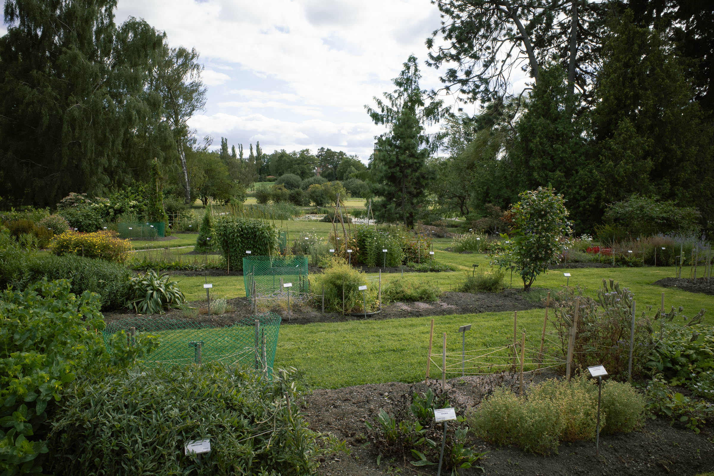 bergianskatradgarden_1
