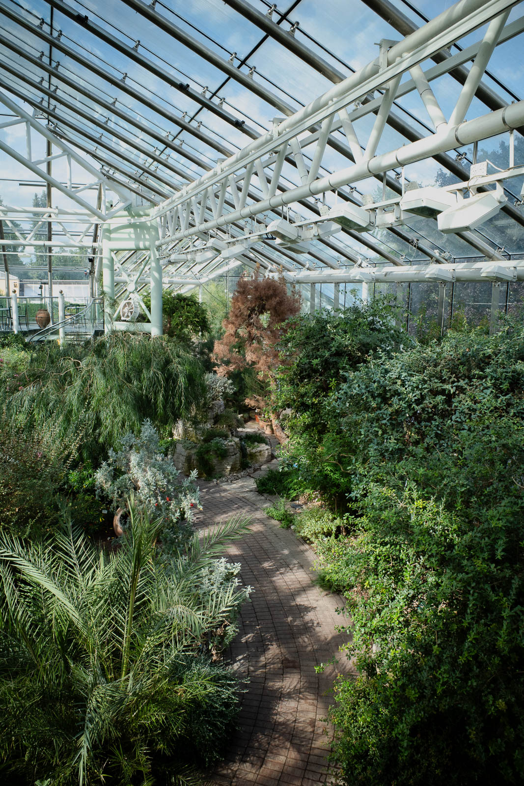 bergianskatradgarden_conservatory_1