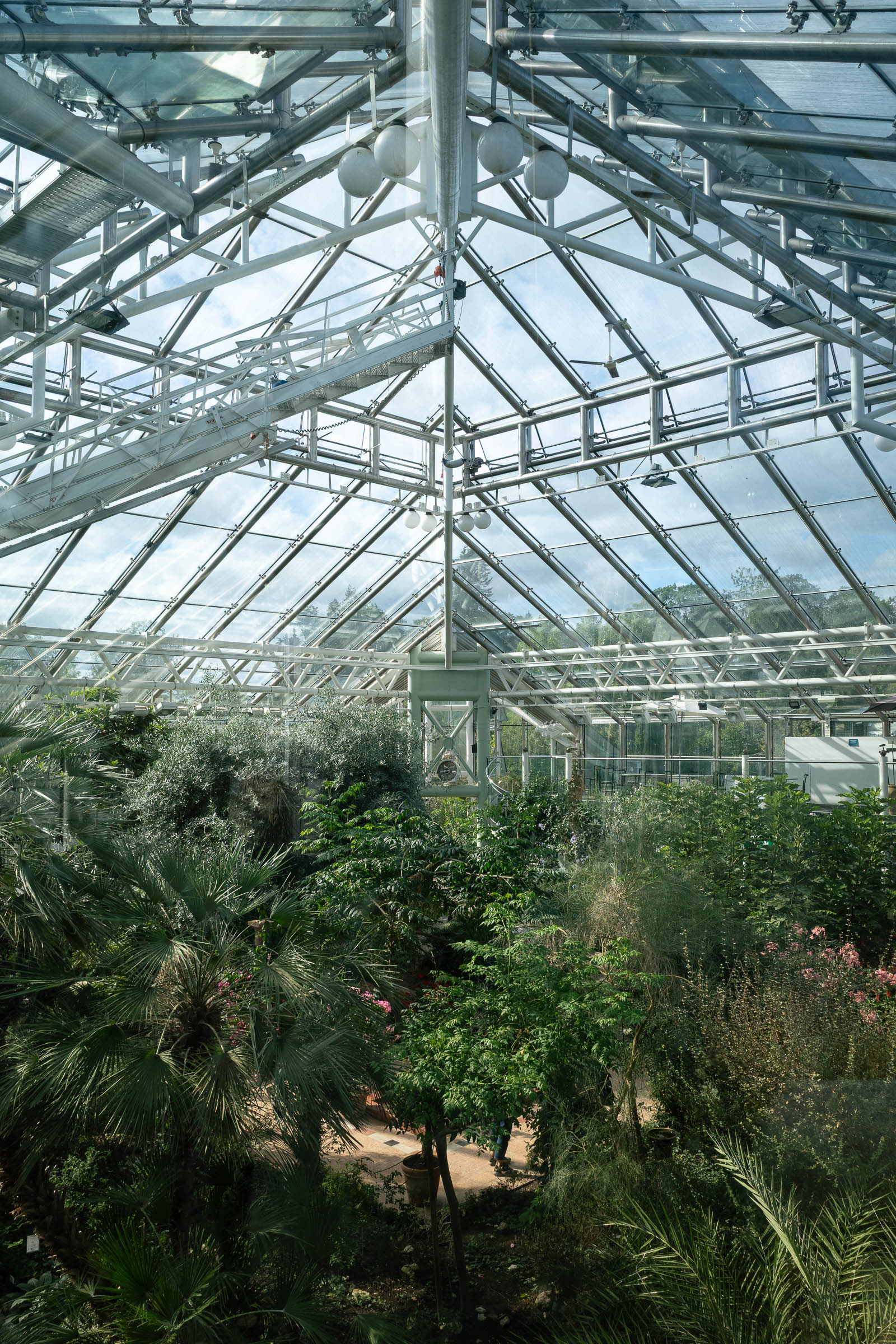 bergianskatradgarden_conservatory_2