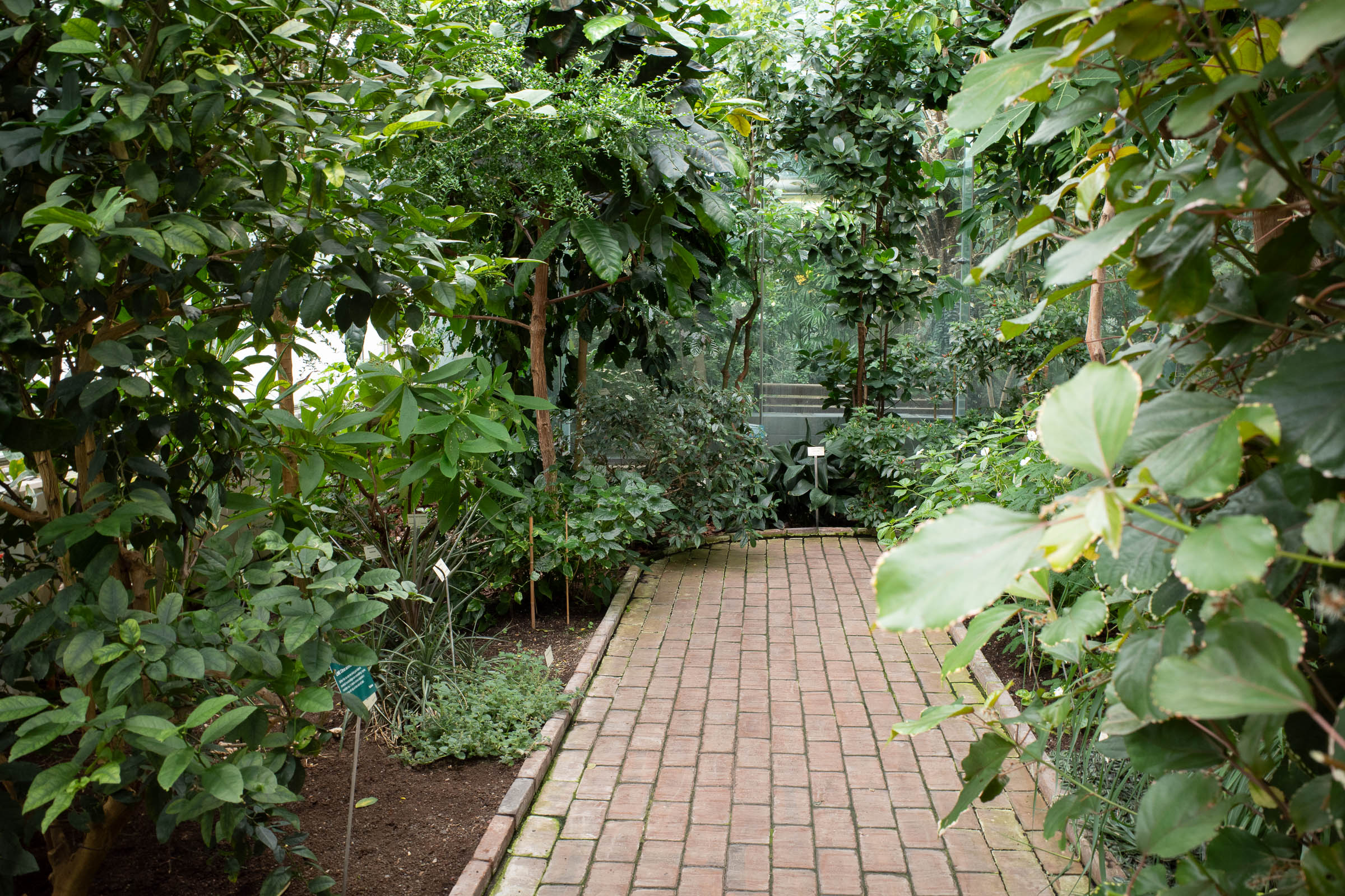 bergianskatradgarden_conservatory_3