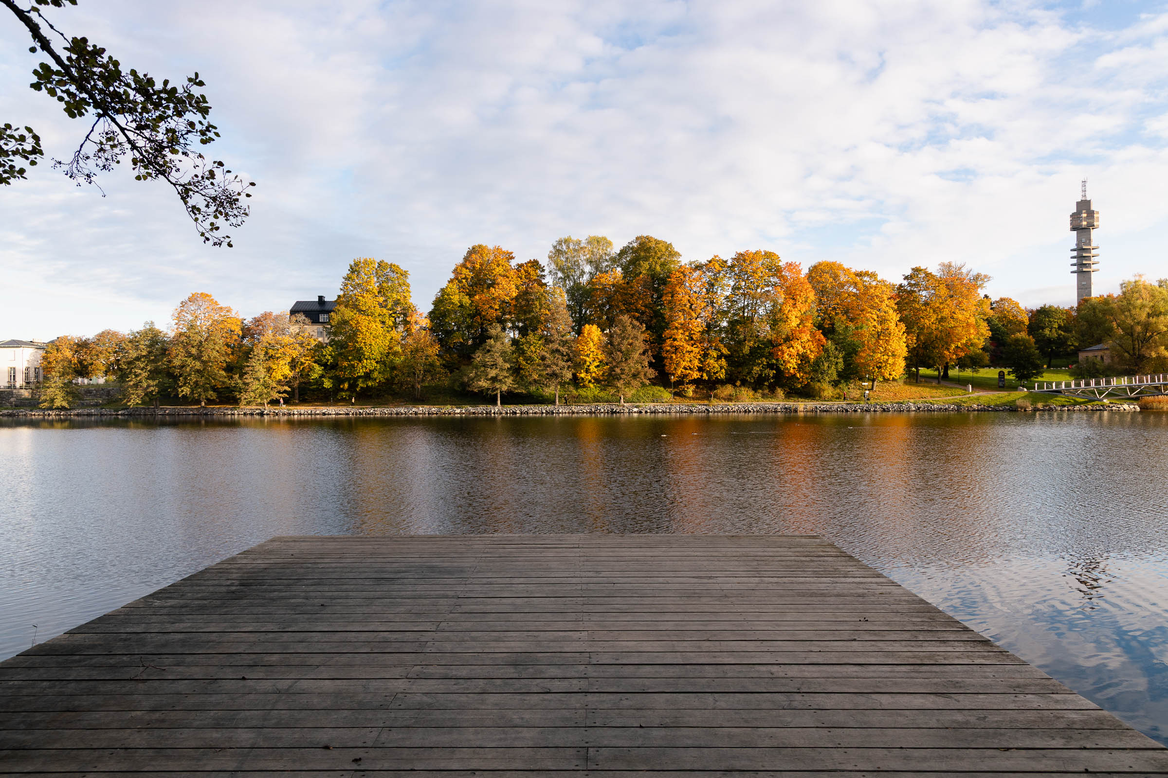 djurgarden_autumn_jetty