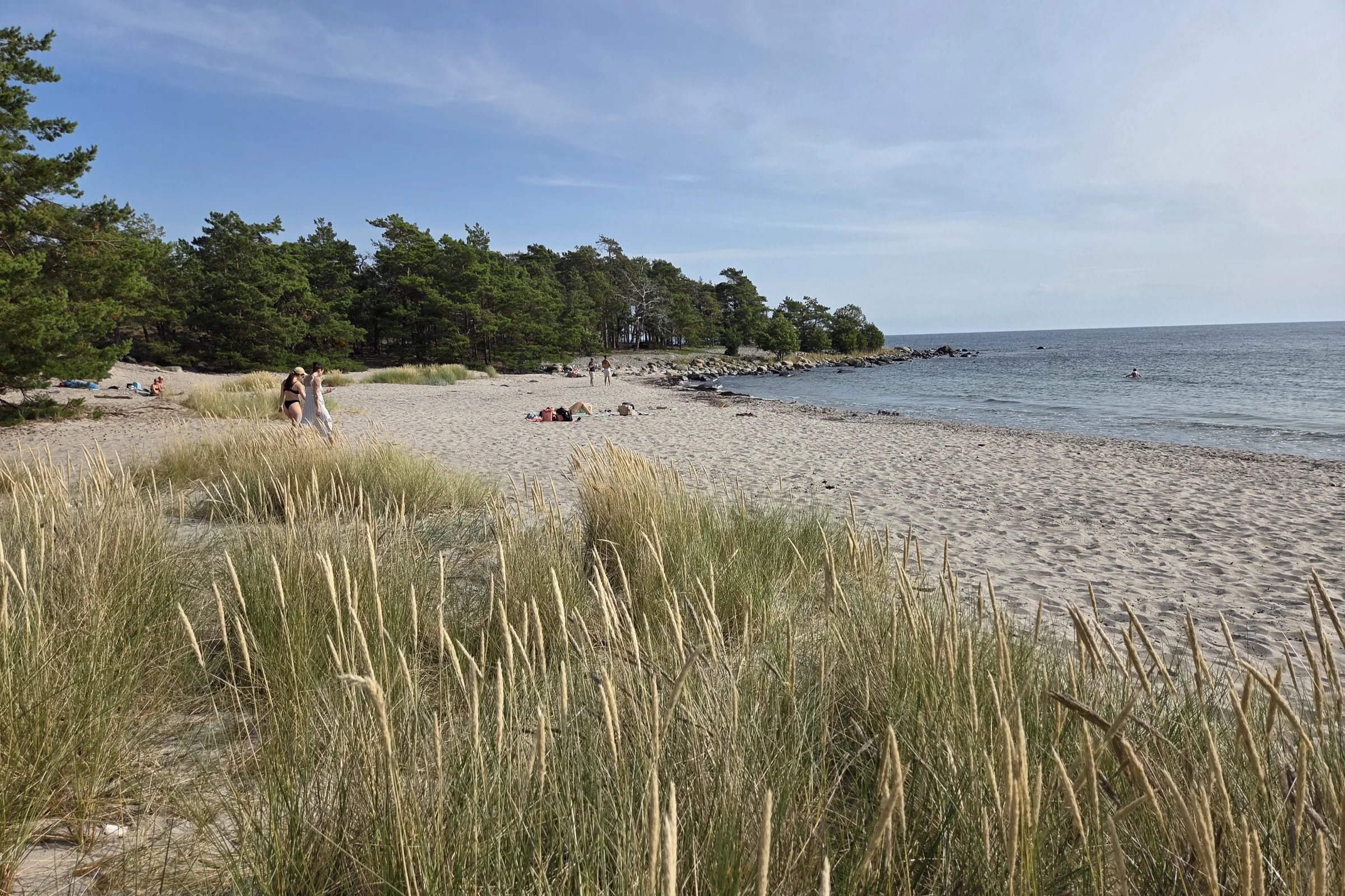 Storsand beach on Nåttarö island in Stockholm archipelago, with a large sandy beach and the ocean. A few people in the distance sunbathing.