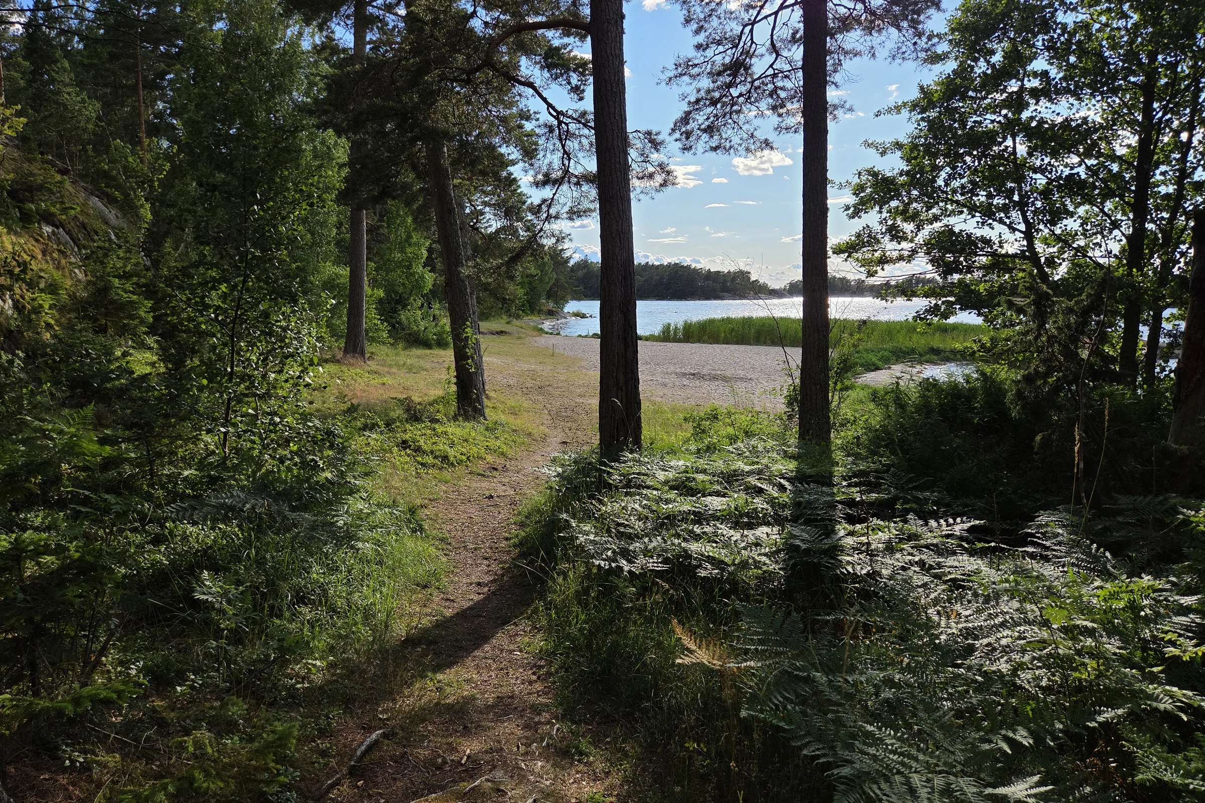 Forrest path at Utö.