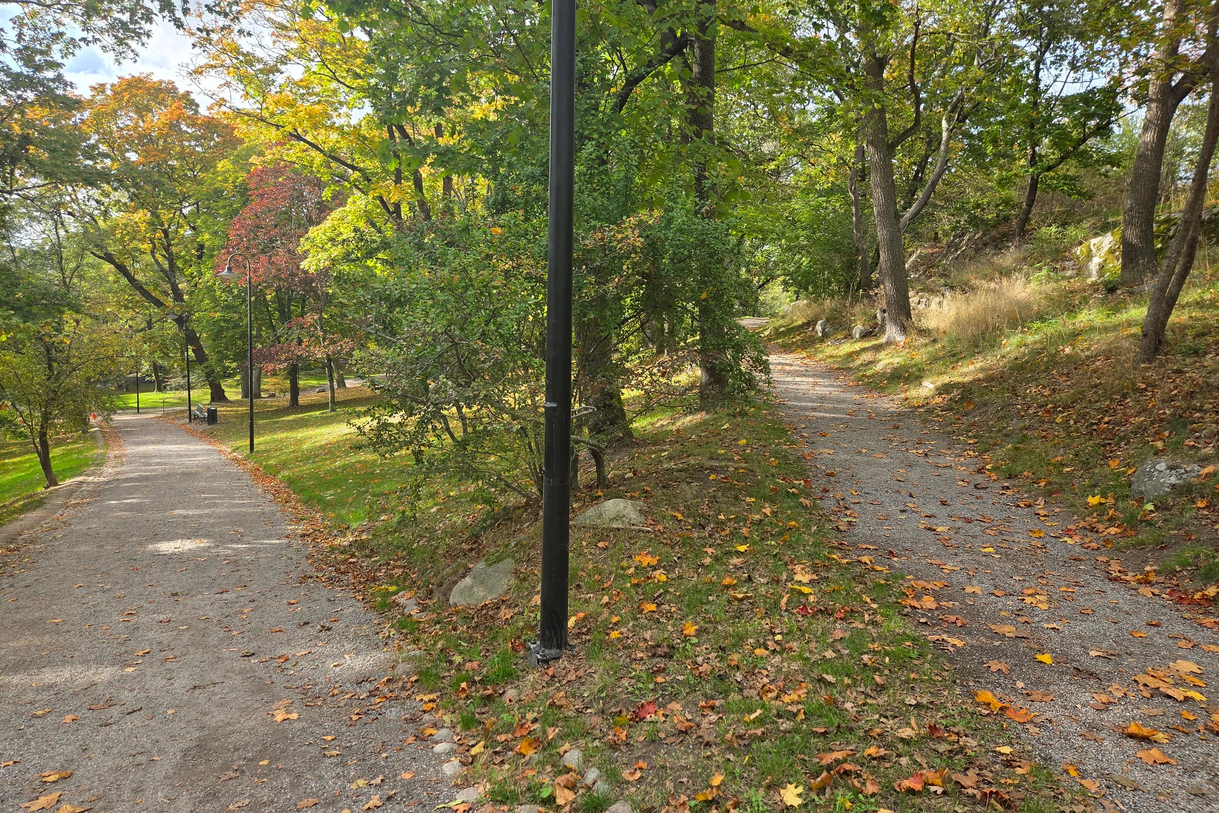 Forking gravel paths through autumn trees in Långholmsparken on Långholmen
